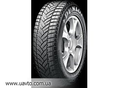  255/40R19 Dunlop Winter Sport M3 100V