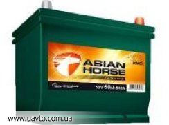 6-45  AsianHorse 330