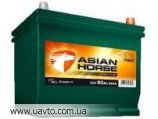  6-95  AsianHorse