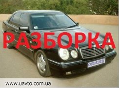   210  Mercedes 210D 